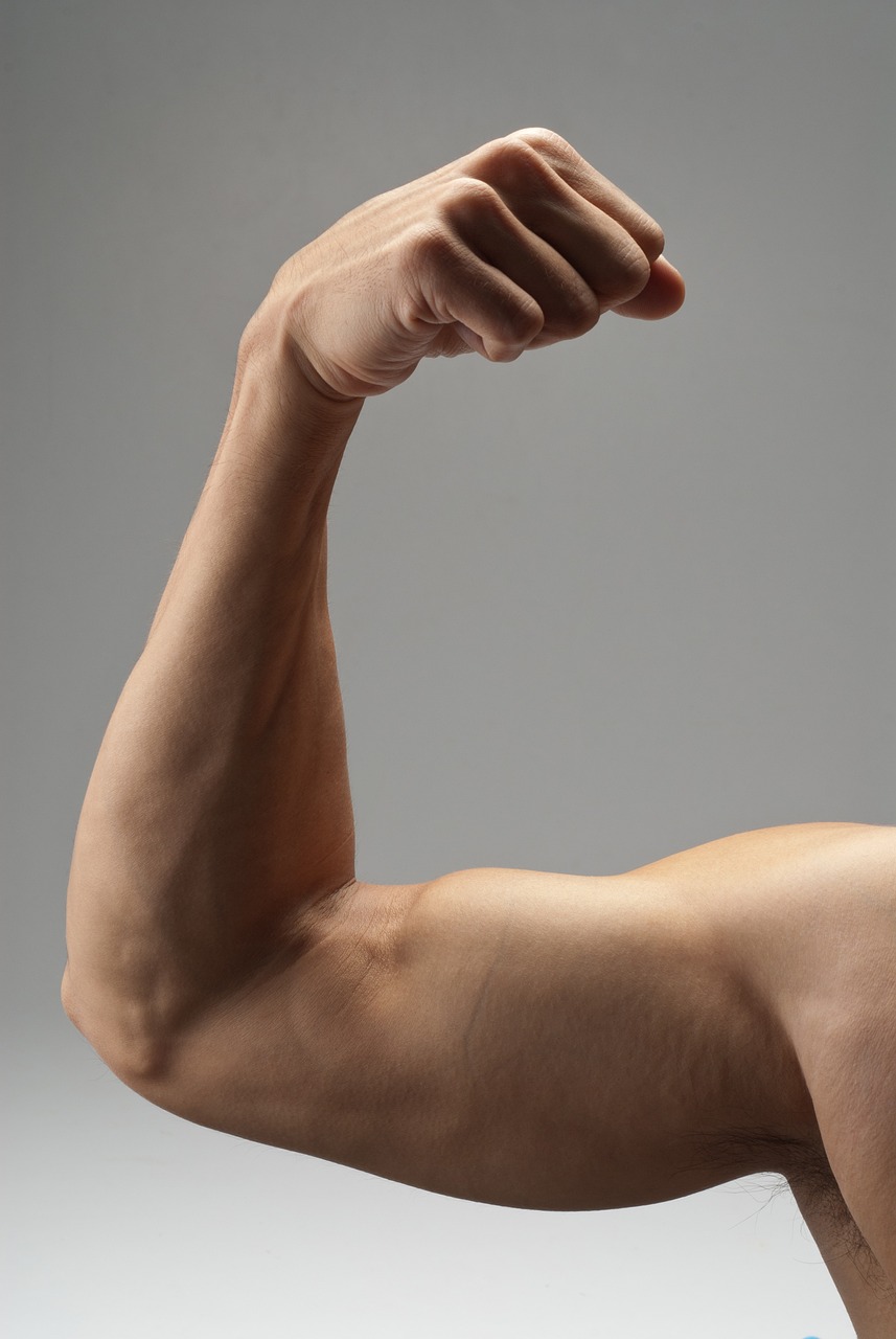 Najlepsze ćwiczenia na wzmocnienie mięśni ramion i pleców z użyciem trx